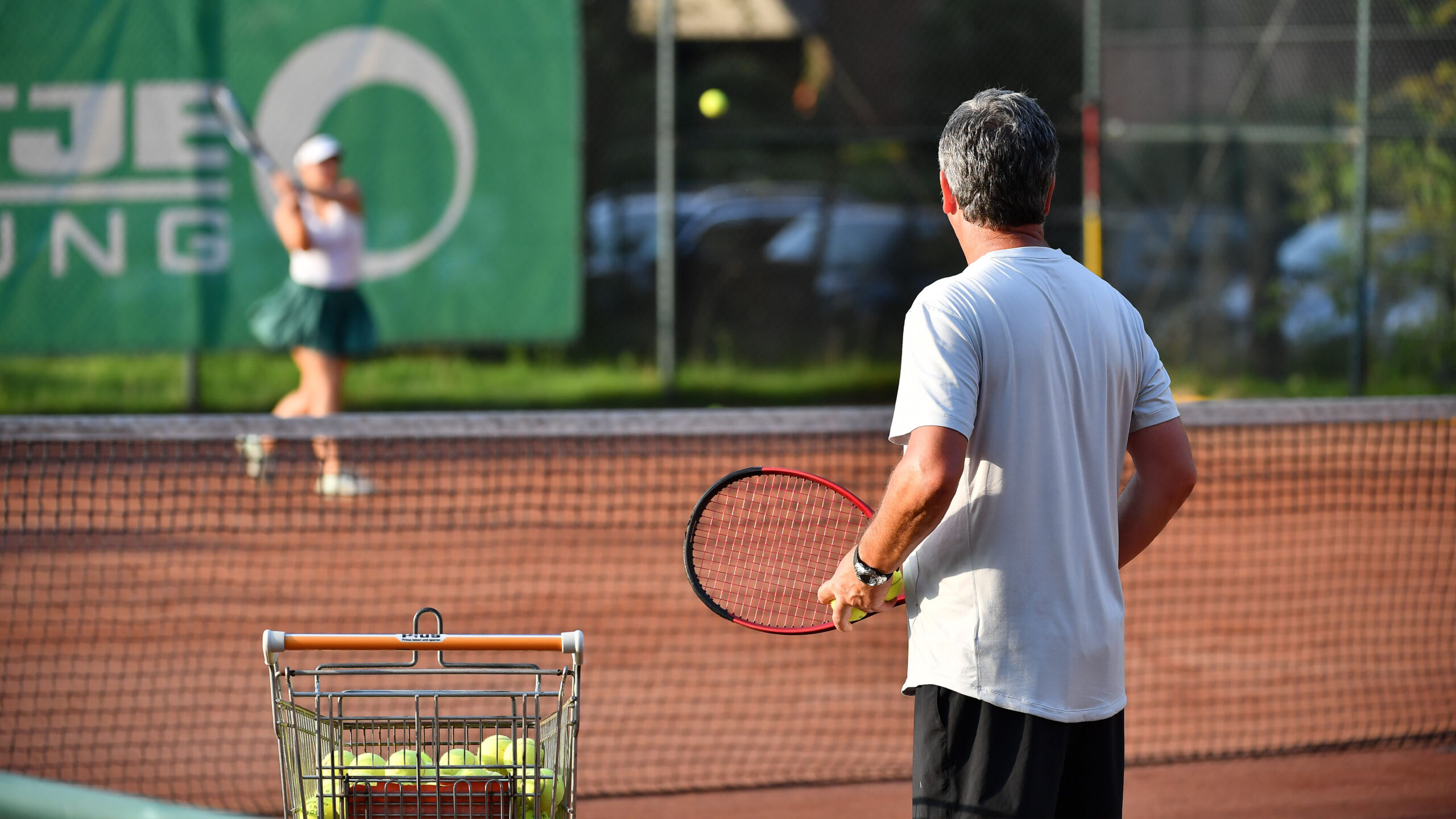 TV Grün-Weiß Bad Zwischenahn Background Tennisschule